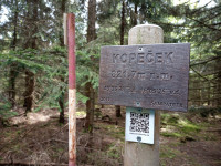 kopecek-21-05-25-08-02-46-9ac5vm2csb.jpg