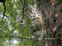 pasecka-skala-25-08-02-01-26-23-kex7dla29o.jpg