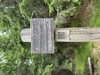 vysoky-kopec-25-07-03-10-15-48-ft6jadwwv8.jpg
